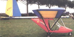 STERN